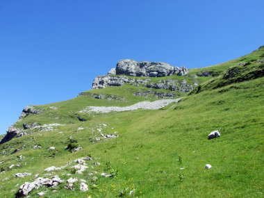 Alpine mera ve çayırlar yamaçlarda Alviergruppe dağ ve nehir Ren Vadisi - Canton St. Gallen, İsviçre