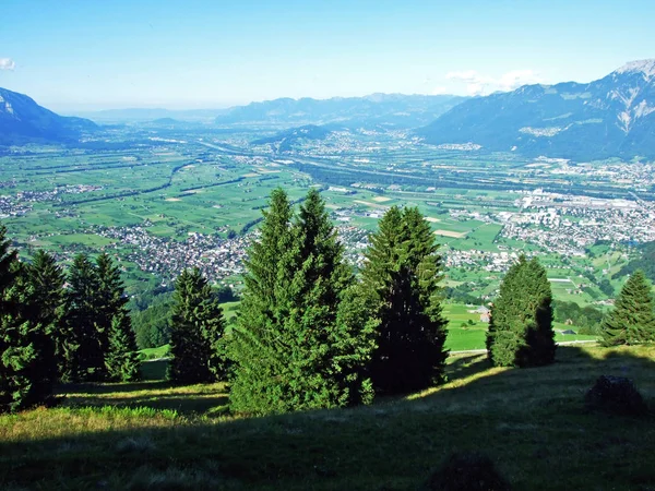 Alviergruppe 山脉和莱茵河谷山坡的树木和混交林 瑞士圣加仑州 — 图库照片