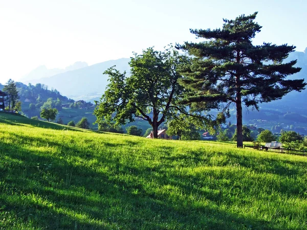 나무와 Alviergruppe의와 골짜기 구획의 세인트 스위스의 혼합된 — 스톡 사진