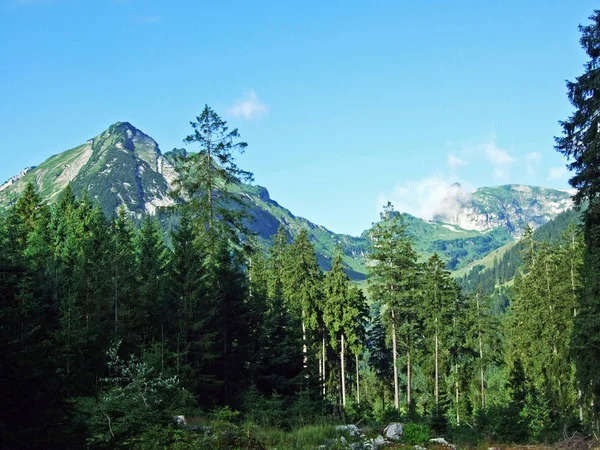 나무와 골짜기 구획의 세인트 스위스와 Alviergruppe 산맥의 경사면에 — 스톡 사진
