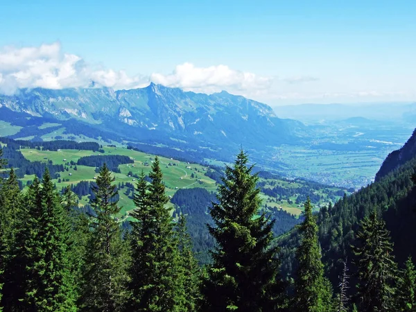 Trees and evergreen forests on the slopes of Alviergruppe mountain range and of the river Rhine valley - Canton of St. Gallen, Switzerland