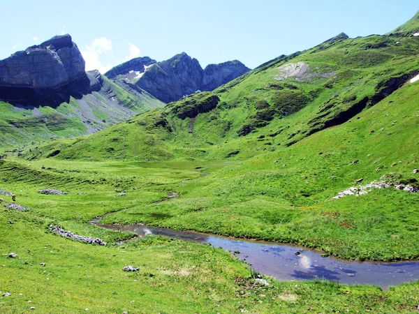 Alpské Pastviny Louky Svazích Alviergruppe Pohoří Řeky Rýn Údolí Kantonu — Stock fotografie