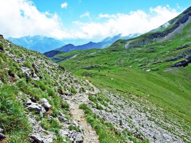 Alpine mera ve çayırlar yamaçlarda Alviergruppe dağ ve nehir Ren Vadisi - Canton St. Gallen, İsviçre
