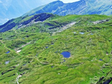 Alpine mera ve çayırlar yamaçlarda Alviergruppe dağ ve nehir Ren Vadisi - Canton St. Gallen, İsviçre
