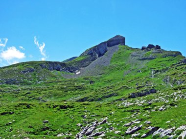 Alpine mera ve çayırlar yamaçlarda Alviergruppe dağ ve nehir Ren Vadisi - Canton St. Gallen, İsviçre