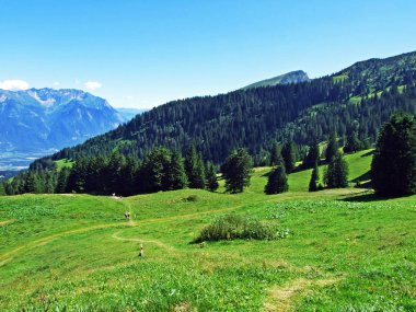 Alpine mera ve çayırlar yamaçlarda Alviergruppe dağ ve nehir Ren Vadisi - Canton St. Gallen, İsviçre