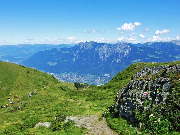 Alpenweiden Weiden Hellingen Van Bergketen Alviergruppe Rivier Rijndal Kanton Gallen — Stockfoto