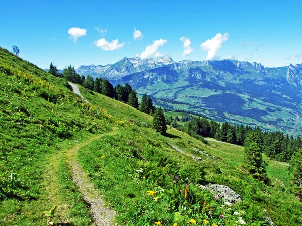 알파인 목초지와 골짜기 구획의 세인트 스위스와 Alviergruppe 산맥의 경사면에 — 스톡 사진