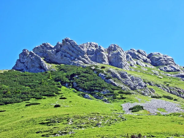 Stones Rocks Alviergruppe Mountain Range Canton Gallen Switzerland — Stock Photo, Image