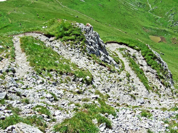 Kameny Skály Alviergruppe Pohoří Kantonu Gallen Švýcarsko — Stock fotografie