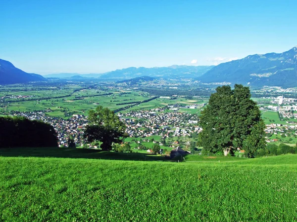 Grabs Bosättningen Floden Rhine Dalen Kantonen Sankt Gallen Schweiz — Stockfoto