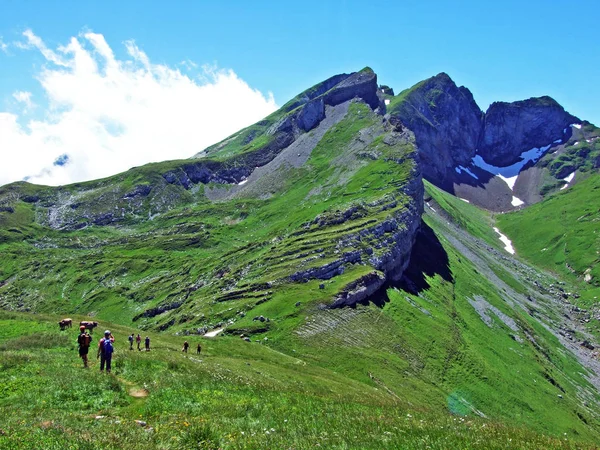 Mountain Hikers Alpine Peak Margelchopf Alviergruppe Mountain Range Canton Gallen — Stock Photo, Image