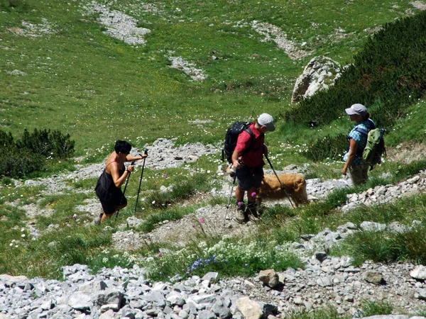 Excursionistas Montaña Pico Alpino Margelchopf Cordillera Alviergruppe Cantón Gallen Suiza — Foto de Stock