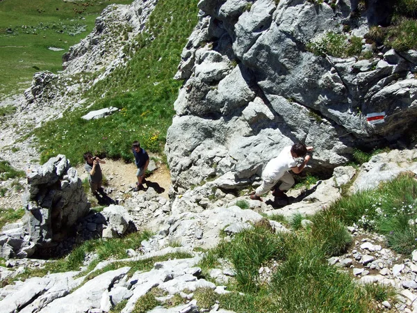 Горные Туристы Альпийской Вершине Маргельшопф Горном Хребте Альвьергруппе Кантон Санкт — стоковое фото