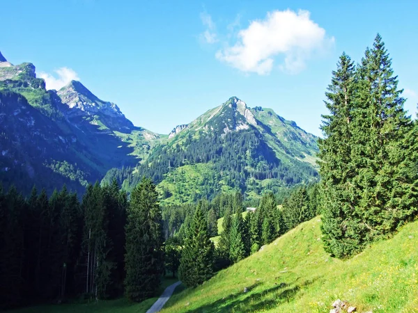 Voralpsee Alviergruppe 山の範囲 ザンクト ガレンのカントン スイス連邦共和国上の高山のピーク Frenchopf — ストック写真