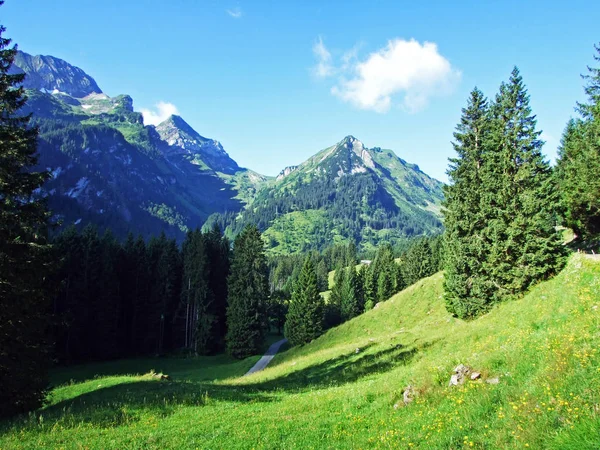 알파인 Frenchopf Voralpsee 호수와 Alviergruppe 구획의 세인트 스위스 — 스톡 사진