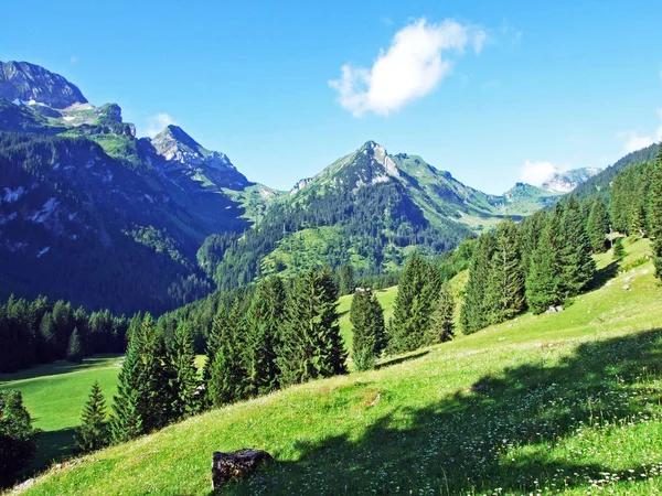 Alpský Vrchol Frenchopf Nad Jezero Voralpsee Alviergruppe Pohoří Kantonu Gallen — Stock fotografie