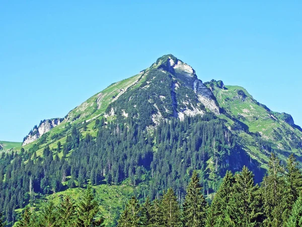 Alpejski Szczyt Frenchopf Nad Jeziorem Voralpsee Oraz Pasmo Górskie Alviergruppe — Zdjęcie stockowe