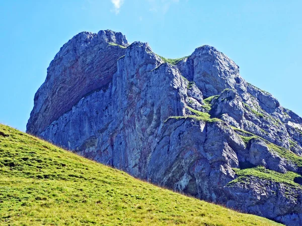 Excursionistas Montaña Pico Alpino Margelchopf Cordillera Alviergruppe Cantón Gallen Suiza —  Fotos de Stock