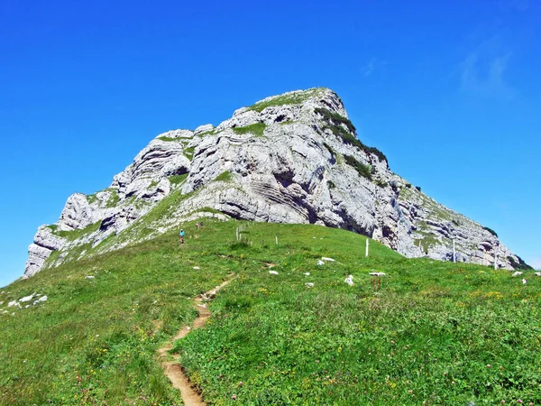Гірських Піших Походів Гірські Вершини Margelchopf Alviergruppe Гірського Хребта Кантону — стокове фото