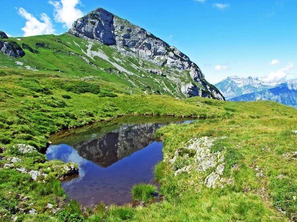 Excursionistas Montaña Pico Alpino Margelchopf Cordillera Alviergruppe Cantón Gallen Suiza —  Fotos de Stock