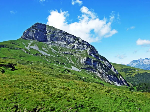 Mountain Hikers Alpine Peak Margelchopf Alviergruppe Mountain Range Canton Gallen — Stock Photo, Image