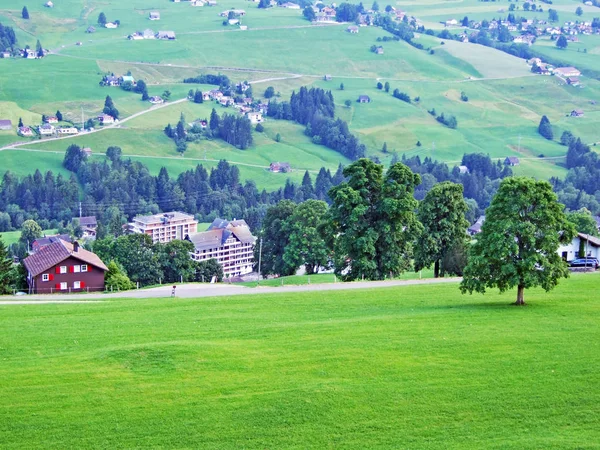 Wildhaus Rozliczenia Rzekę Thur Dolina Kantonu Gallen Szwajcaria — Zdjęcie stockowe