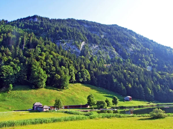 Λίμνη Schonenbodensee Naturbadesee Schonenbodensee Badi Schonenbodesee Wildhaus Καντόνι Σεν Γκάλεν — Φωτογραφία Αρχείου