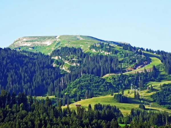 Альпійським Піком Gamserrugg Churfirsten Гірський Хребет Між Toggenburg Регіону Озеро — стокове фото