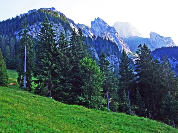 알파인 Alpstein 구획의 세인트 스위스에서 Zehespitz — 스톡 사진