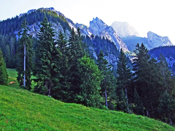 Alpine Peak Zehespitz Mountain Range Alpstein Cantão Gallen Suíça — Fotografia de Stock