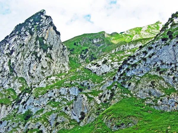 高山のピークの山の範囲 Alpstein ザンクト ガレンのカントン スイス連邦共和国の Zehespitz — ストック写真