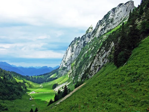 Альпійським Піком Zehespitz Гірський Хребет Alpstein Кантону Санкт Галлен Швейцарія — стокове фото