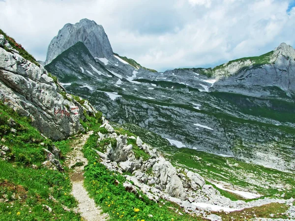 Альпійським Піком Альтман Гірський Хребет Alpstein Кантони Санкт Галлен Аппенцелль — стокове фото