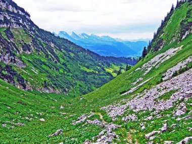 Alp Teselalp Vadisi Alpstein dağ silsilesi - Canton St. Gallen, İsviçre