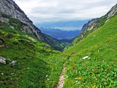 Alp Teselalp Vadisi Alpstein dağ silsilesi - Canton St. Gallen, İsviçre