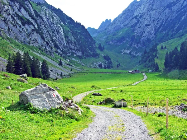 Vale Alpino Teselalp Cordilheira Alpstein Cantão Gallen Suíça — Fotografia de Stock