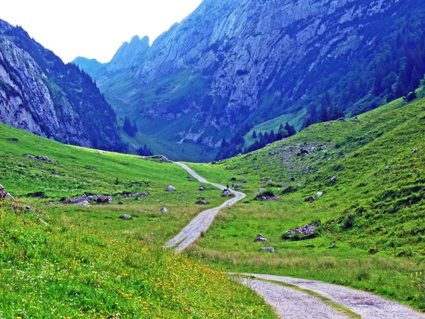 Alpejskie Doliny Teselalp Alpstein Pasmo Górskie Kantonu Gallen Szwajcaria — Zdjęcie stockowe