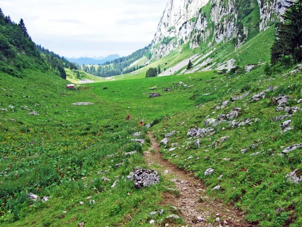 Alpejskie Doliny Teselalp Alpstein Pasmo Górskie Kantonu Gallen Szwajcaria — Zdjęcie stockowe