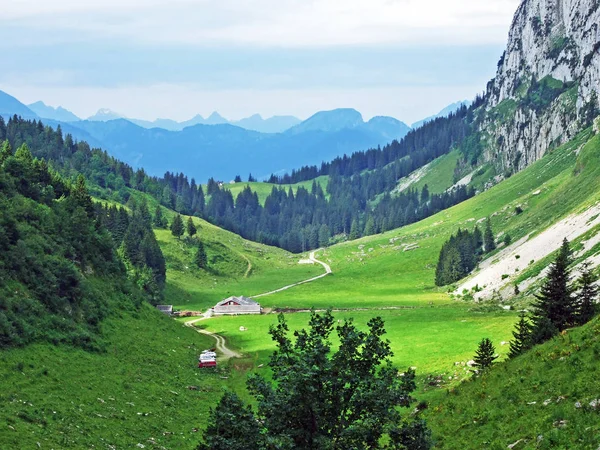 Αλπική Κοιλάδα Του Teselalp Στο Alpstein Οροσειρά Καντόνιο Του Gallen — Φωτογραφία Αρχείου