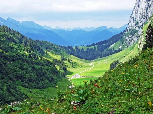 Alpské Údolí Teselalp Alpstein Pohoří Kantonu Gallen Švýcarsko — Stock fotografie