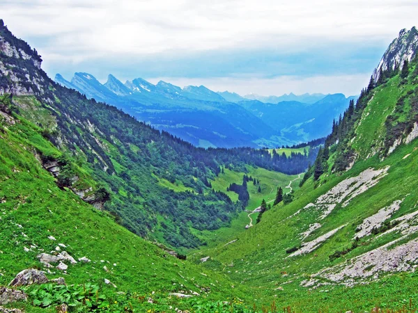 Valle Alpino Teselalp Cordillera Alpstein Cantón Gallen Suiza —  Fotos de Stock