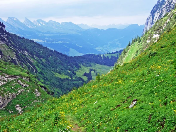Alpské Údolí Teselalp Alpstein Pohoří Kantonu Gallen Švýcarsko — Stock fotografie