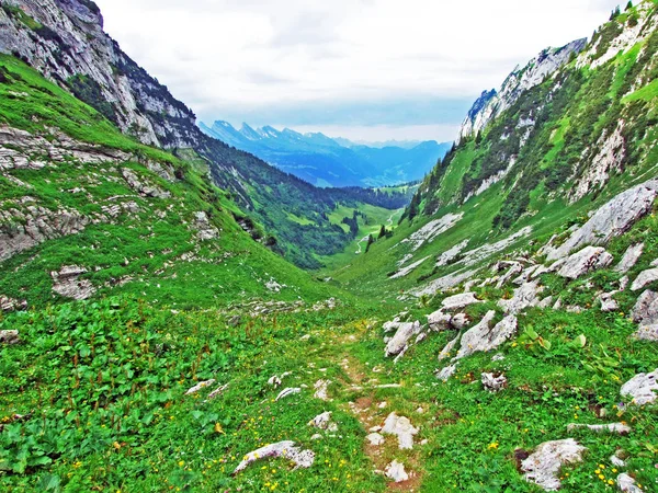 Alpesi Völgy Teselalp Alpstein Hegység Gallen Kanton Svájc — Stock Fotó