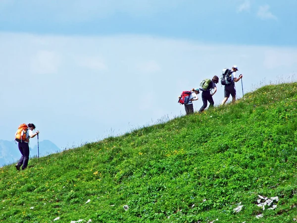 Caminhantes Montanha Cordilheira Alpstein Cantões Gallen Appenzell Innerrhoden Suíça — Fotografia de Stock