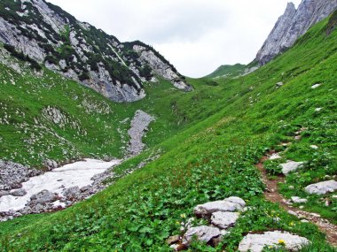 Alpine mera ve çayırlar Alpstein dağ yamaçlarında nehir düşündüklerini Vadisi'nde - St. Gallen Kanton ve Appenzell Innerrhoden, İsviçre
