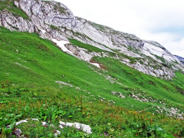 Alpine mera ve çayırlar Alpstein dağ yamaçlarında nehir düşündüklerini Vadisi'nde - St. Gallen Kanton ve Appenzell Innerrhoden, İsviçre
