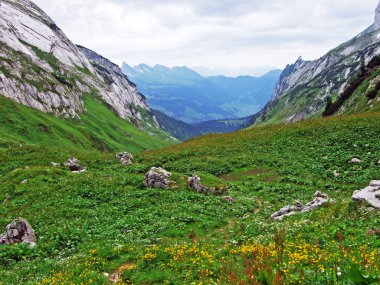 Alpine mera ve çayırlar Alpstein dağ yamaçlarında nehir düşündüklerini Vadisi'nde - St. Gallen Kanton ve Appenzell Innerrhoden, İsviçre