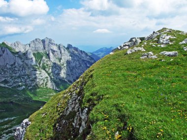 Alpine mera ve çayırlar Alpstein dağ yamaçlarında nehir düşündüklerini Vadisi'nde - St. Gallen Kanton ve Appenzell Innerrhoden, İsviçre
