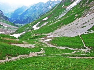 Alpine mera ve çayırlar Alpstein dağ yamaçlarında nehir düşündüklerini Vadisi'nde - St. Gallen Kanton ve Appenzell Innerrhoden, İsviçre